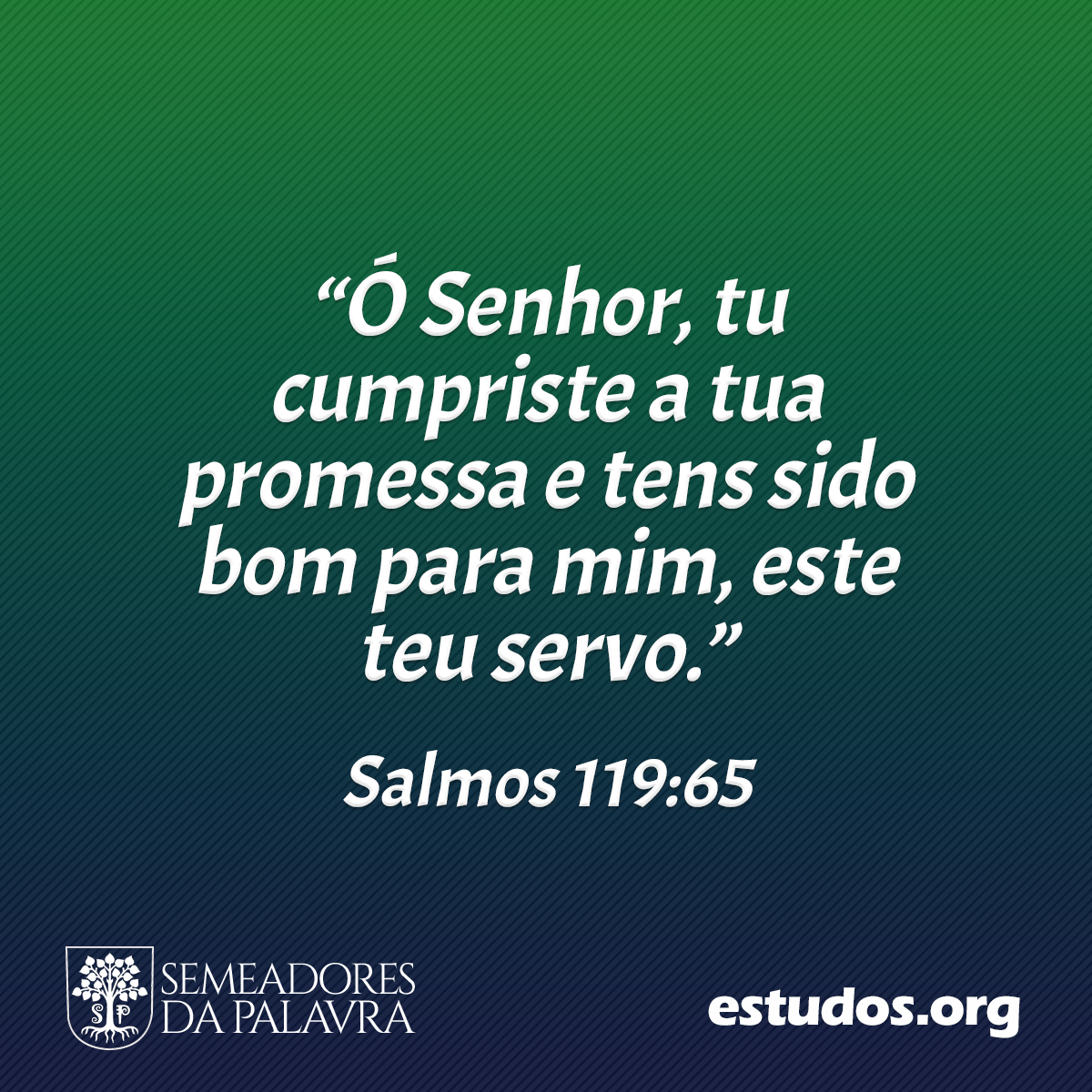 “Ó Senhor, tu cumpriste a tua promessa e tens sido bom para mim, este teu servo.” (Salmos 119:65)