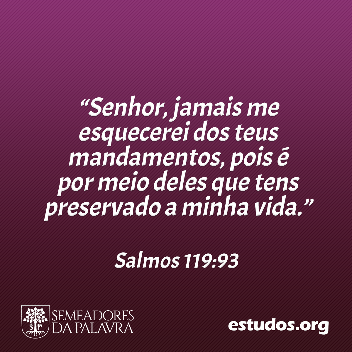 “Senhor, jamais me esquecerei dos teus mandamentos, pois é por meio deles que tens preservado a minha vida.” (Salmos 119:93)