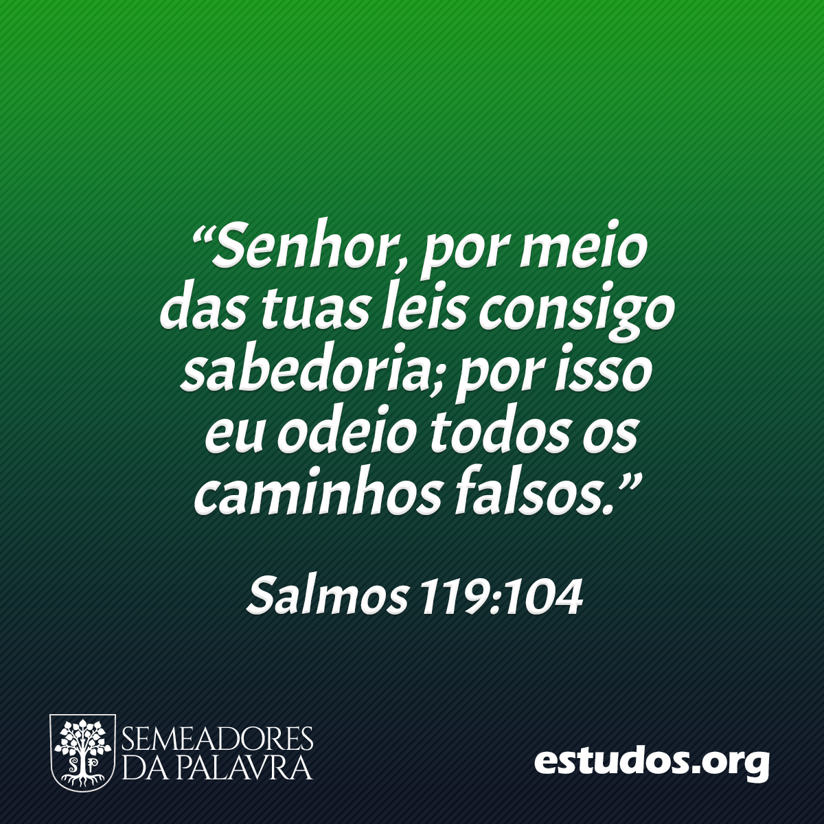 “Senhor, por meio das tuas leis consigo sabedoria; por isso eu odeio todos os caminhos falsos.” (Salmos 119:104)