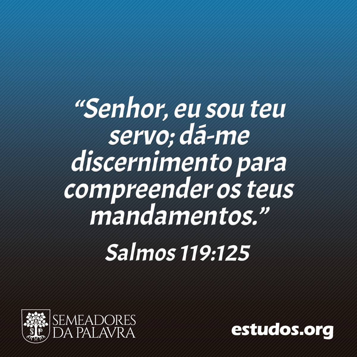 “Senhor, eu sou teu servo; dá-me discernimento para compreender os teus mandamentos.” (Salmos 119:125)