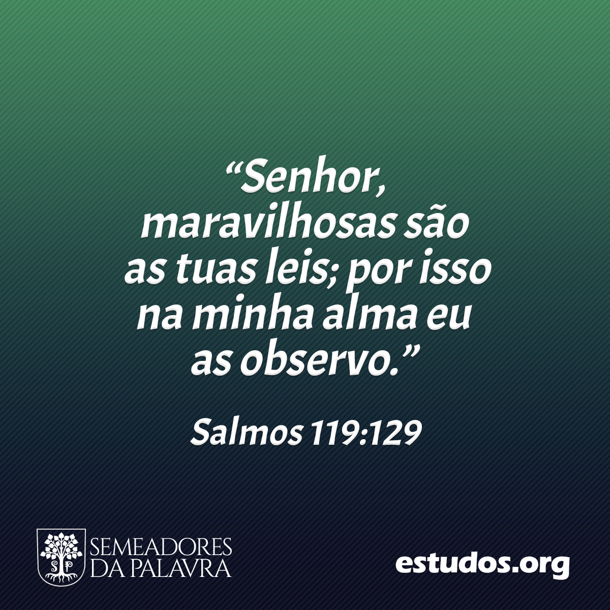 “Senhor, maravilhosas são as tuas leis; por isso na minha alma eu as observo.” (Salmos 119:129)