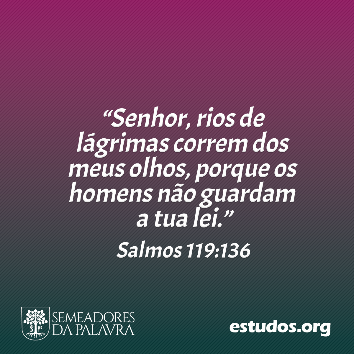 “Senhor, rios de lágrimas correm dos meus olhos, porque os homens não guardam a tua lei.” (Salmos 119:136)