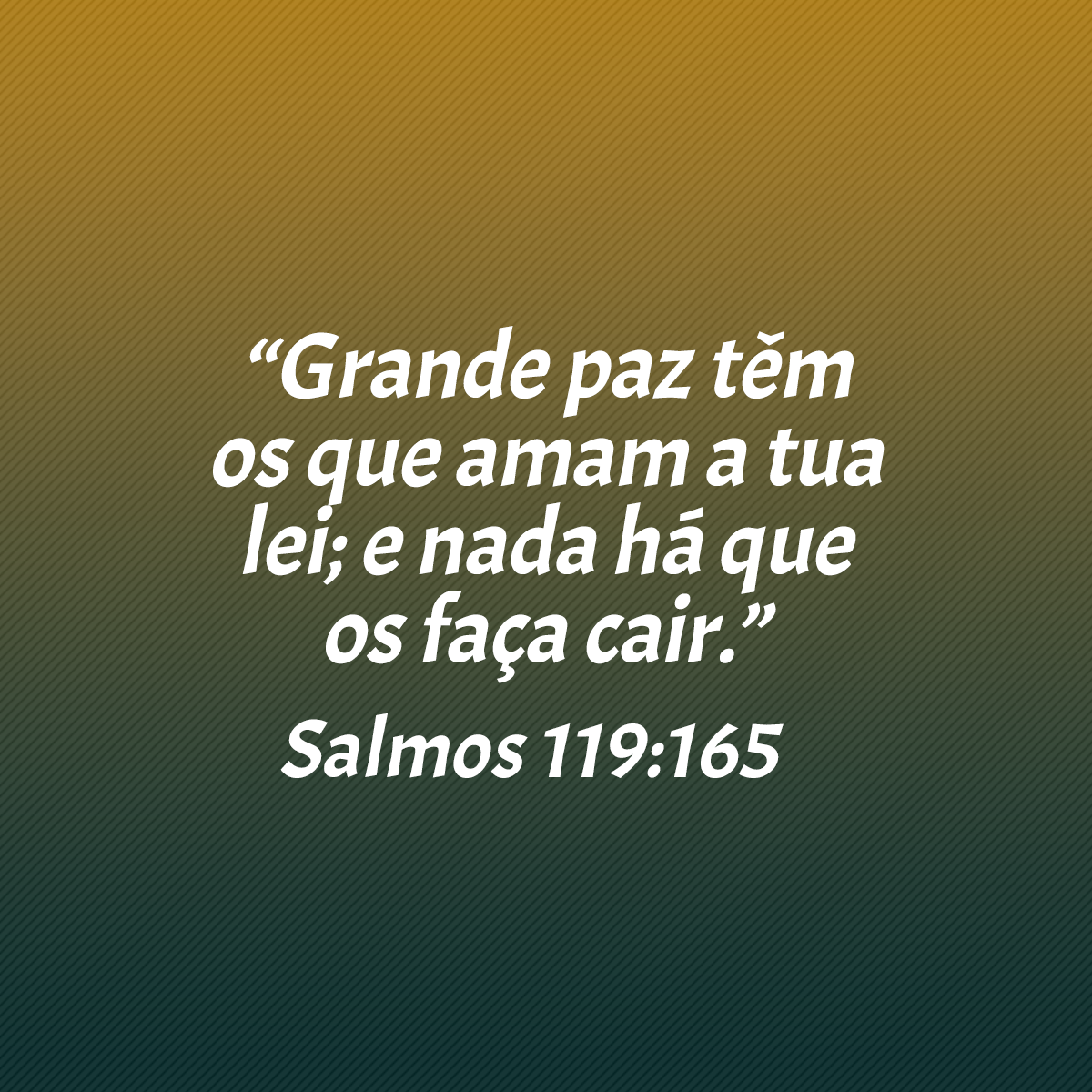 “Grande paz têm os que amam a tua lei; e nada há que os faça cair.” (Salmos 119:165)