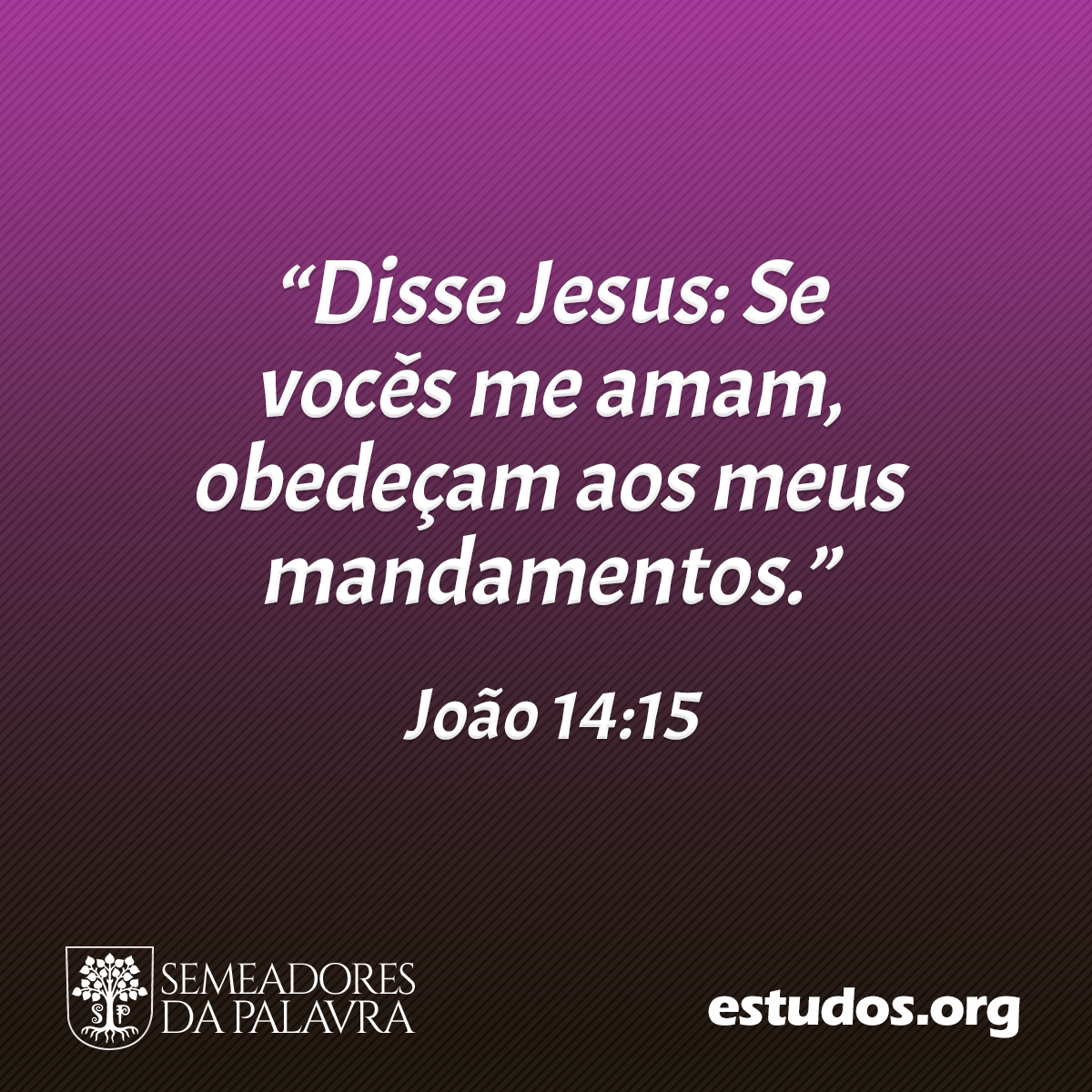 “Disse Jesus: Se vocês me amam, obedeçam aos meus mandamentos.” (João 14:15)