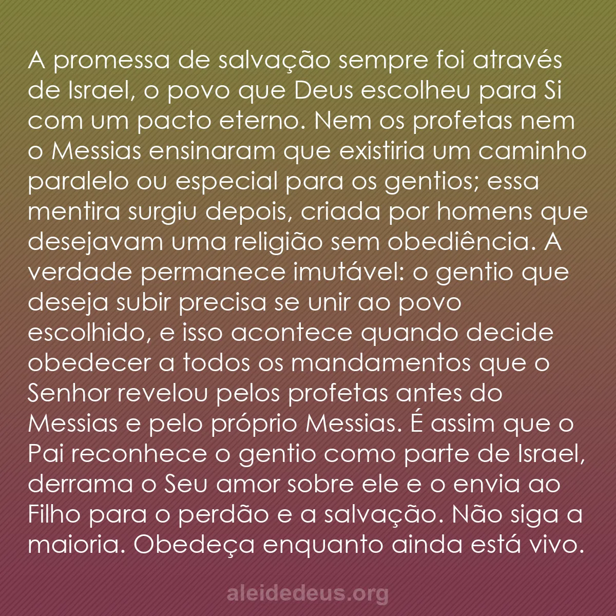 b0048 - Postagem sobre a Lei de Deus: A promessa de salvação sempre foi através de Israel,...