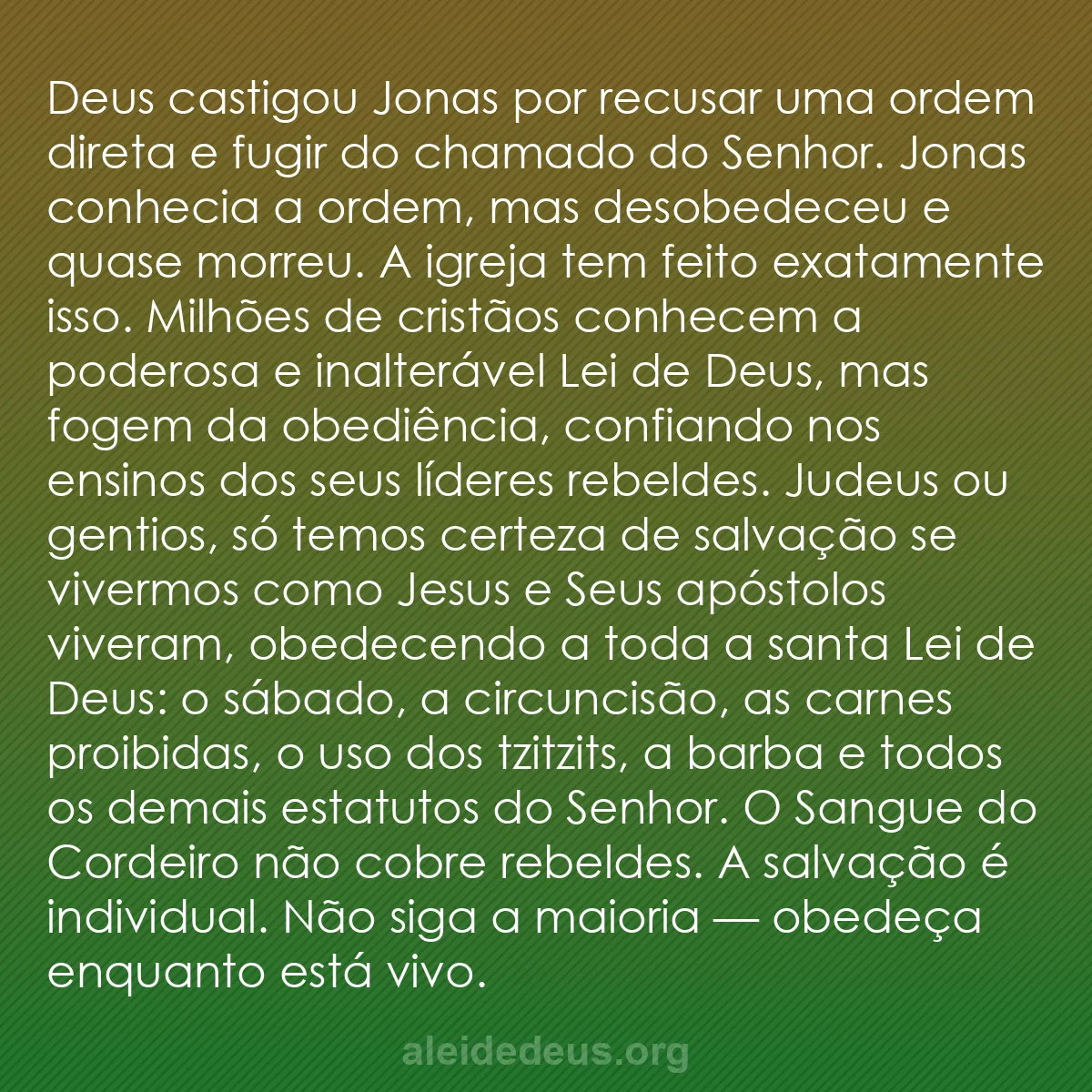 b0076 - Postagem sobre a Lei de Deus: Deus castigou Jonas por recusar uma ordem direta e...