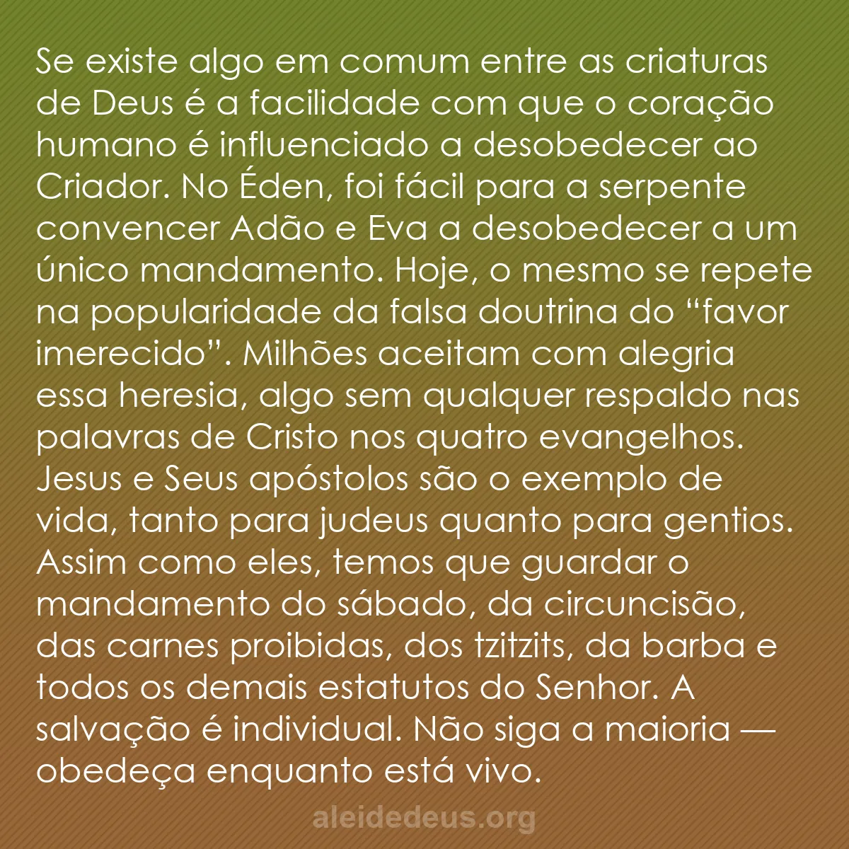 b0089 - Postagem sobre a Lei de Deus: Se existe algo em comum entre as criaturas de Deus...