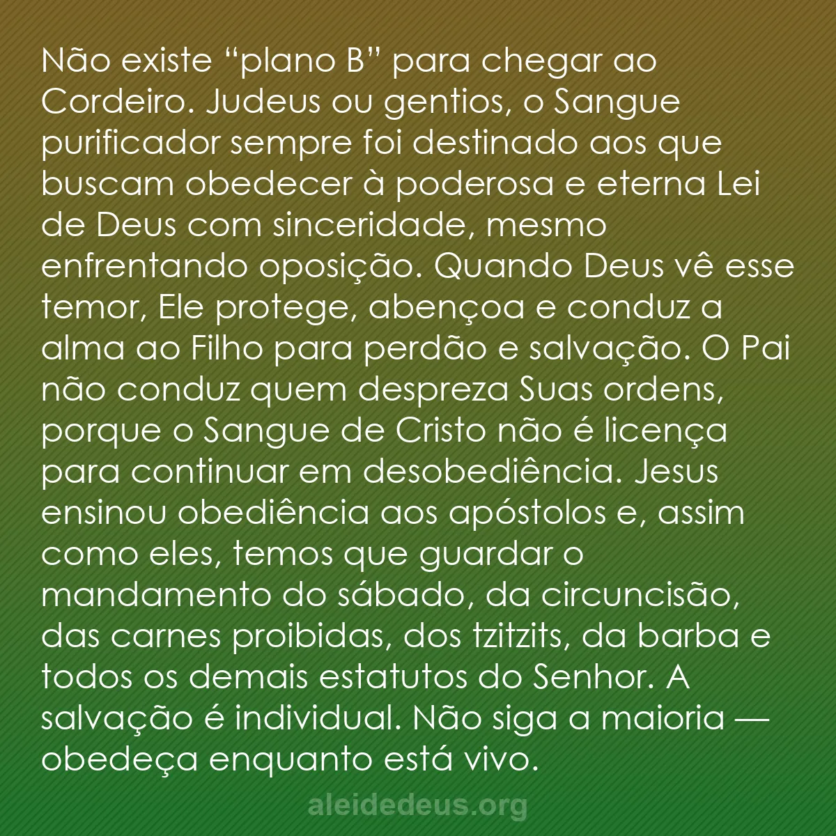 b0296 - Postagem sobre a Lei de Deus: Não existe “plano B” para chegar ao Cordeiro. Judeus...