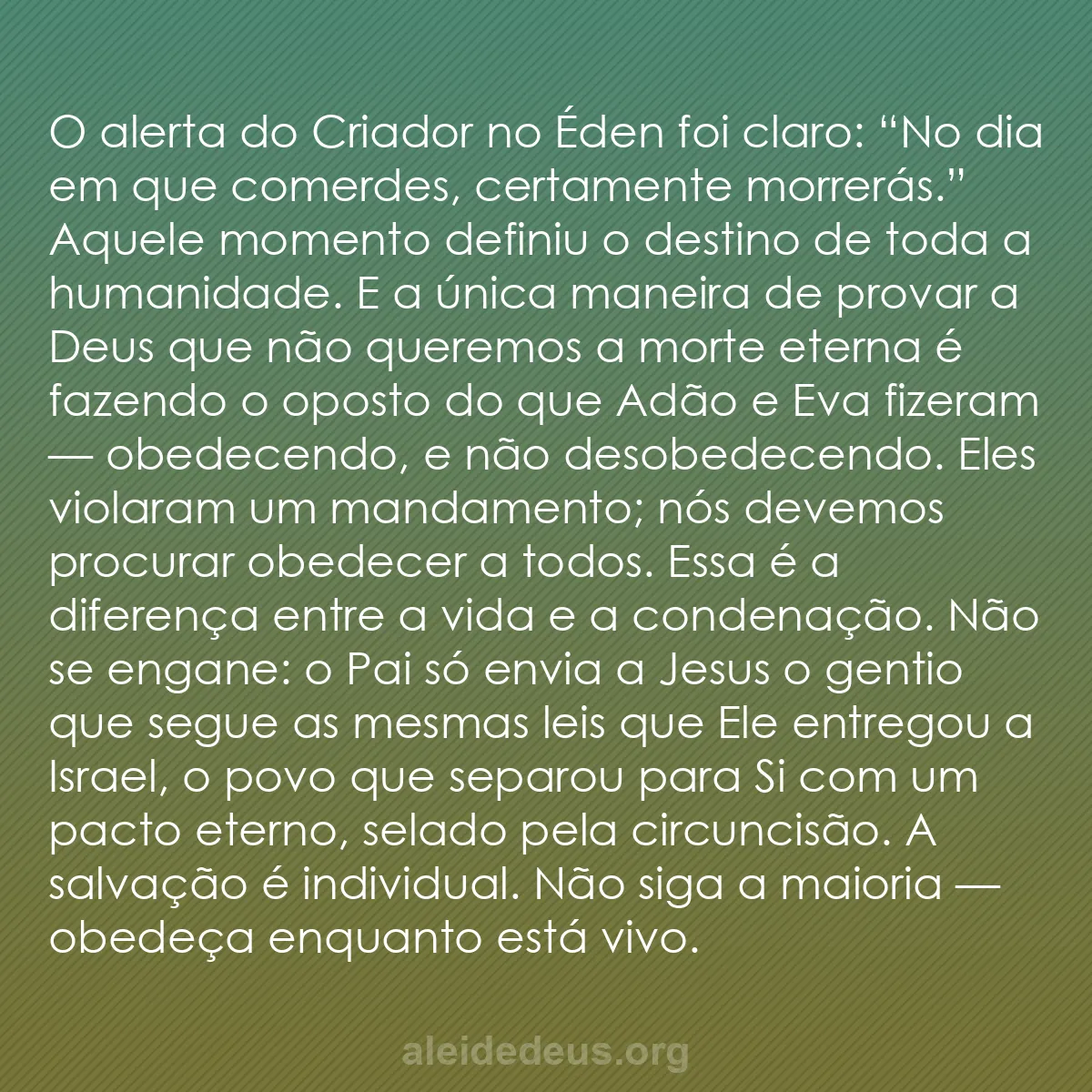 b0303 - Postagem sobre a Lei de Deus: O alerta do Criador no Éden foi claro: “No dia em...
