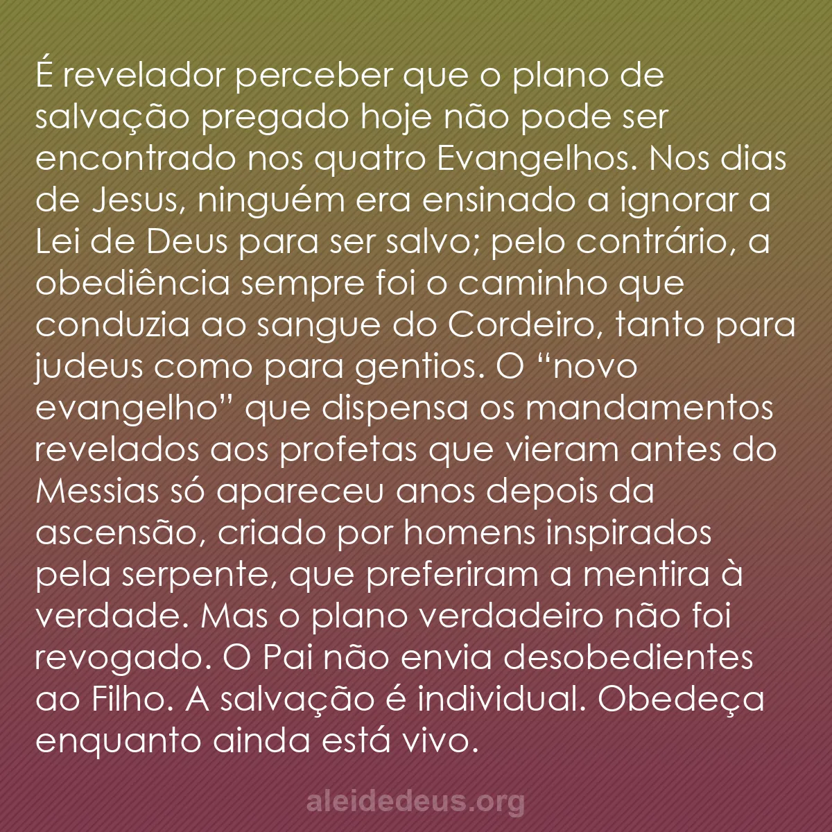 b0368 - Postagem sobre a Lei de Deus: É revelador perceber que o plano de salvação pregado...